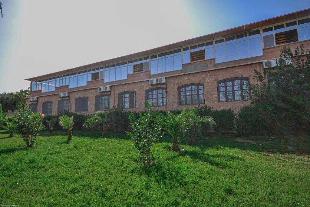 L'Oliveraie D'Amizmiz Bagian luar foto