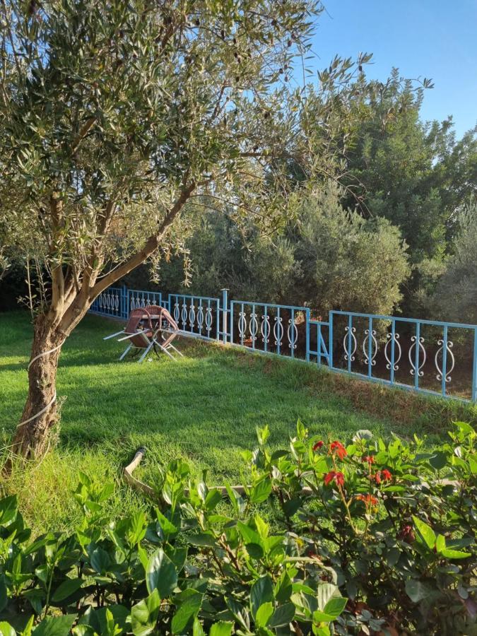 L'Oliveraie D'Amizmiz Bagian luar foto